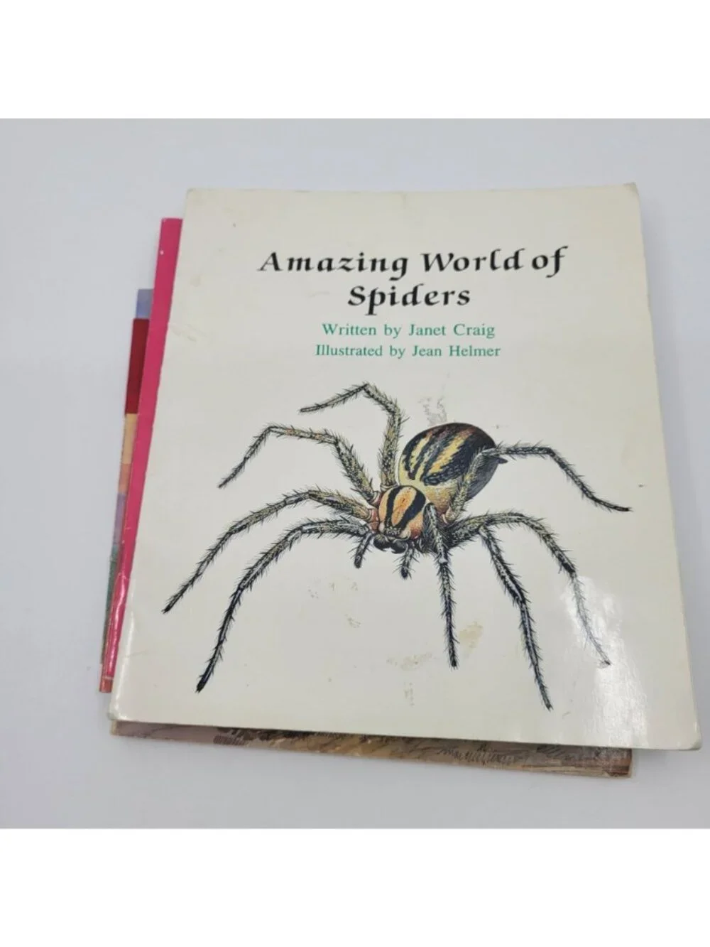 Children's Non-Fiction Book Lot - Nature, Spiders, Snakes - BK217